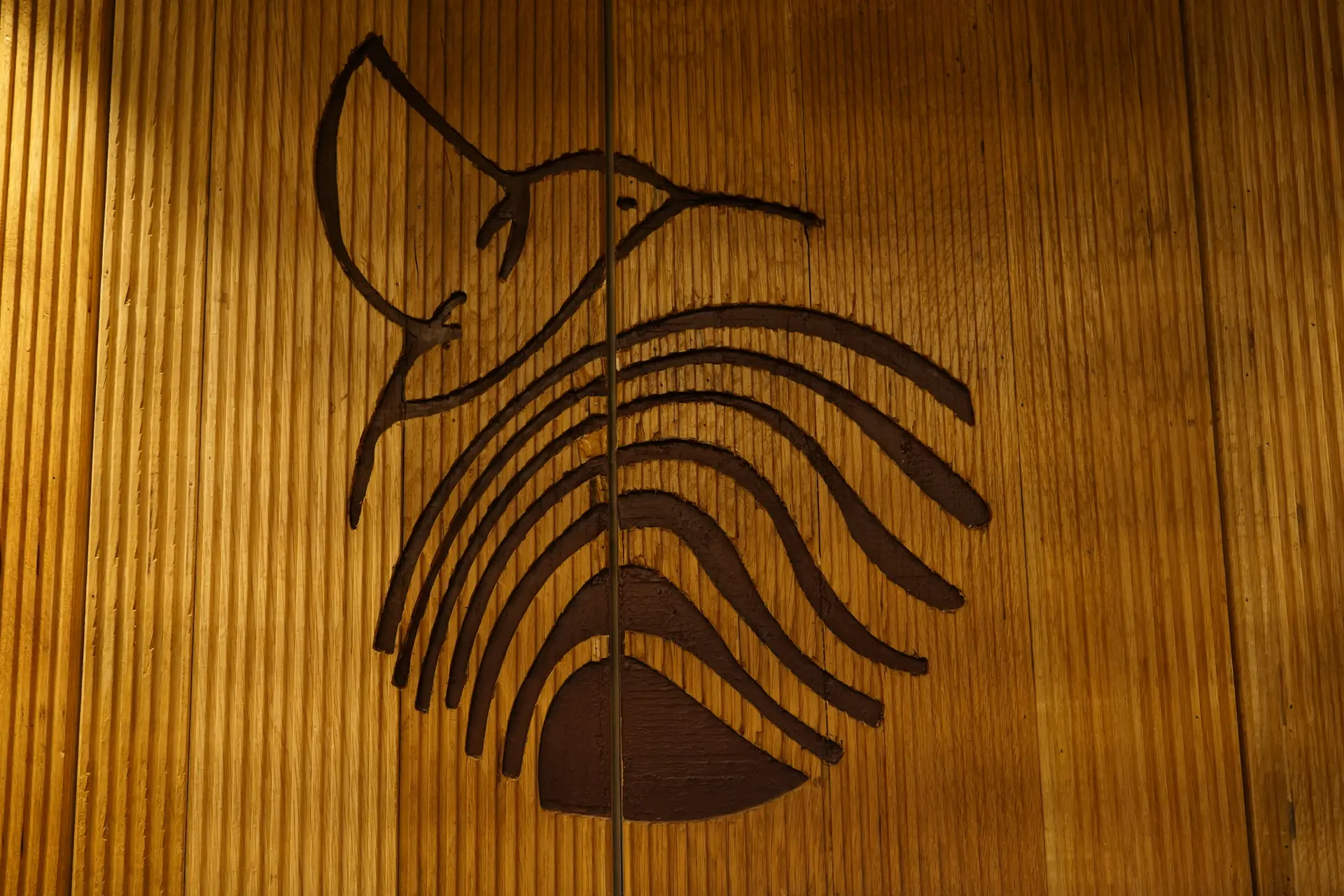 Wood Rings Background